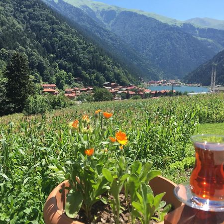 Zeren Pansiyon Kamalac Extérieur photo