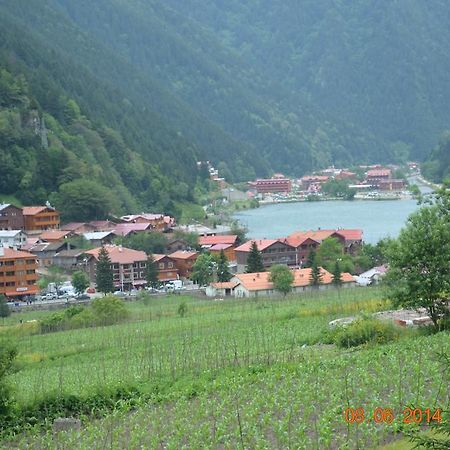 Zeren Pansiyon Kamalac Extérieur photo