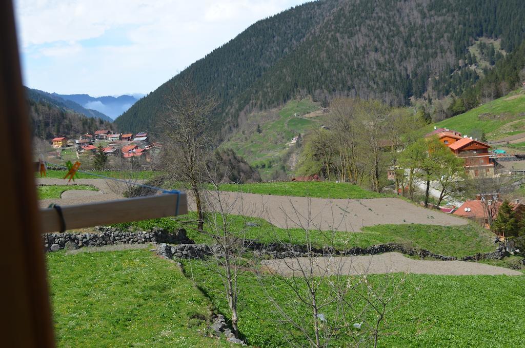 Zeren Pansiyon Kamalac Extérieur photo
