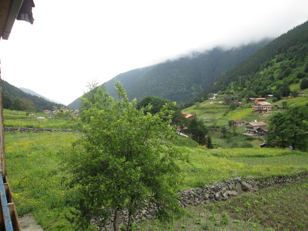 Zeren Pansiyon Kamalac Extérieur photo